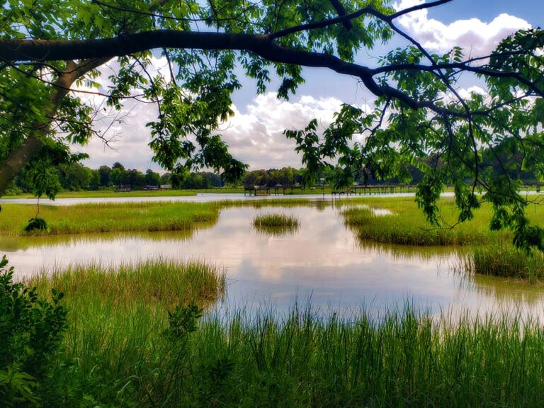 Mindful Meditation at Hoffler Creek