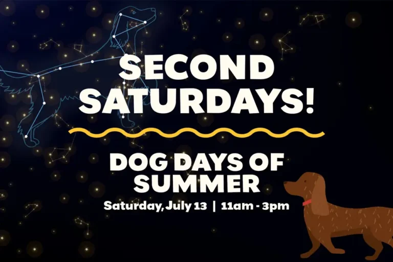 Second Saturdays &#8211; Dog Days of Summer