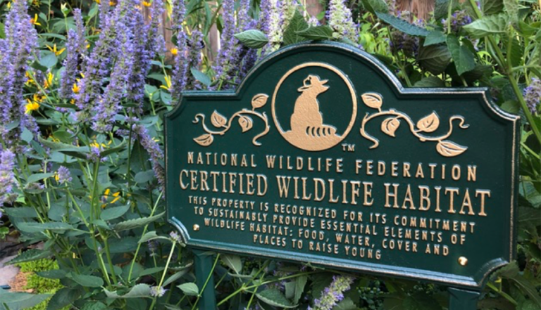 Master Gardener Lecture Series &#8211; Creating a Wildlife Habitat