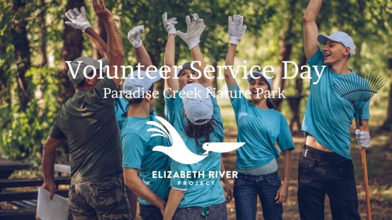 Volunteer Service Day at Paradise Creek Nature Park