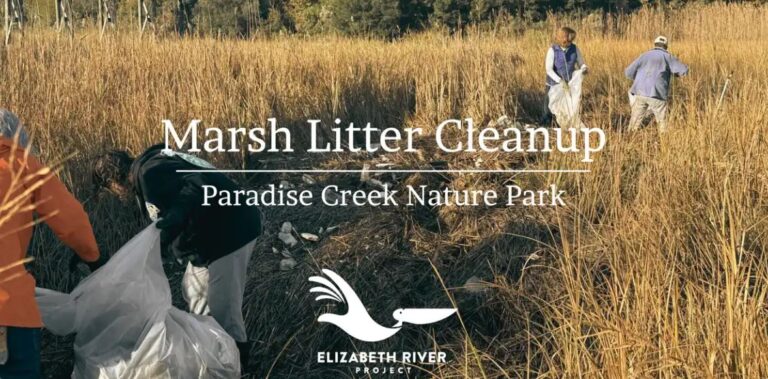 Marsh Cleanup at Paradise Creek Nature Park