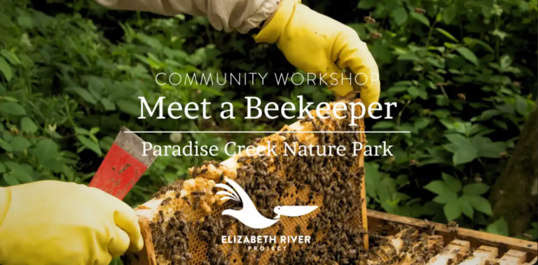 Meet a Beekeeper at Paradise Creek